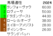 2024　デイリー杯２歳Ｓ　馬場適性指数